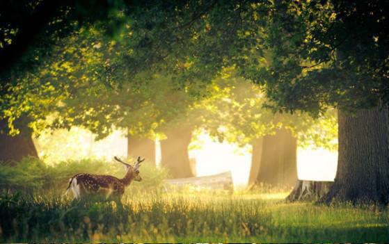 殷无妄秦兆川免费阅读最新章节 死遁后我成了魔门卧底殷无妄秦兆川全文