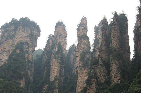 容瑾戈沈栖月最新章节内容 沈栖月容瑾戈笔趣阁