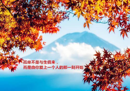 夏冉沈傲小说名字 梦断半夏的别离诗笔趣阁