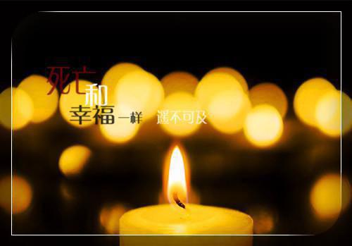 最新章节被渣男未婚夫害死后我重生了（苏念沈修言陆沉舟）_被渣男未婚夫害死后我重生了苏念沈修言陆沉舟最新章节