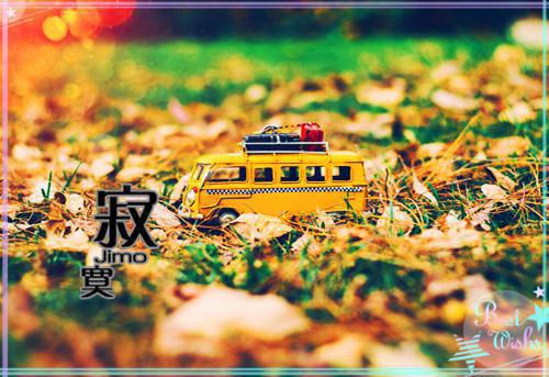 苏叶李樾李之橪舒只音小说免费阅读全文 炽阳心芒小说完整版免费