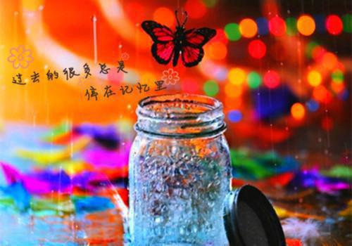 林芷沈晏白小蕊叫什么小说 老公要为亡母守墓五年,我直接离婚笔趣阁