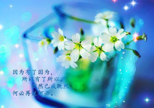 姜明舒君莫怀赵佑安免费阅读最新章节 与皇上珠胎暗结后：后续笔趣阁最新章节