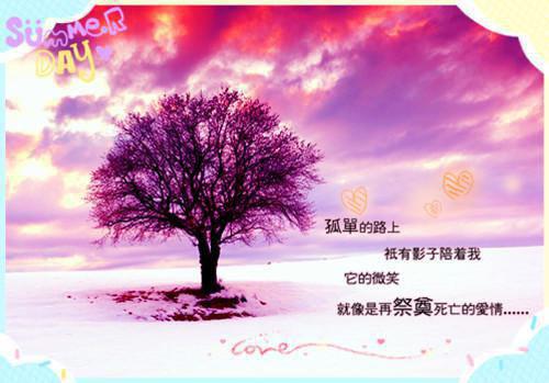 虞向晚谢矜珩最新章节更新时间 飞鸟归时回南天全文阅读