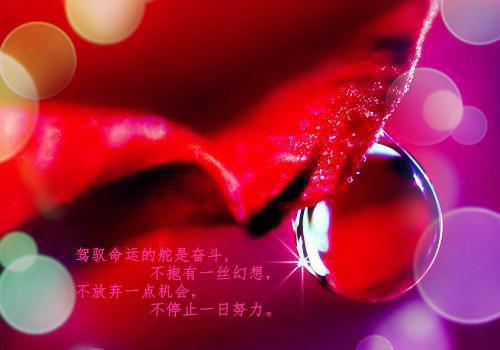 纪清颜纪琛陆景然纪明月小说免费阅读 云海携风赴归期纪清颜纪琛陆景然纪明月小说