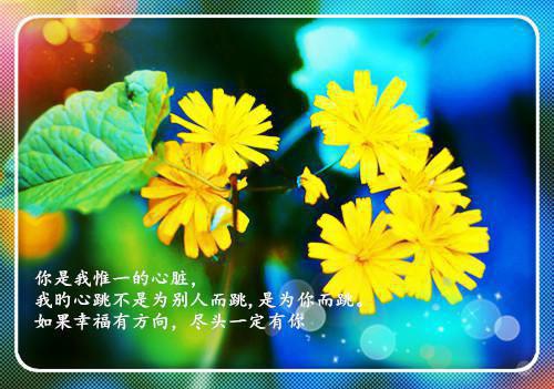 苏蝶落余墨殇沈怡儿小说在线阅读 我等风雪又一年by青衫客免费阅读