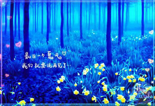 林砚辞温景蔓最新章节内容 时光倒影似烟火免费阅读林砚辞温景蔓小说