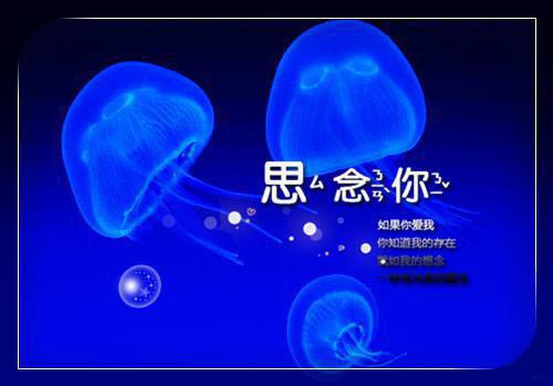 我厉沉苏衍小说叫什么 小别驯养笔趣阁最新章节