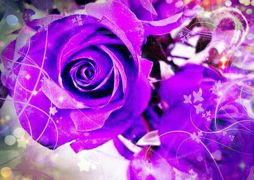 洛幽幽的最新章节小说 二版《被无情道首席拒绝后我飞升了》洛幽幽 谢无妄by佚名