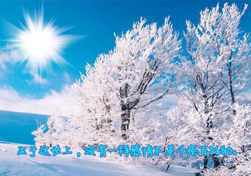 沈如胭燕衍柳嫣然小说名 言春枝by佚名