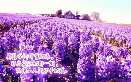 心火长眠蒋临川章听澜完结版免费阅读_心火长眠蒋临川章听澜抖音小说全文阅读_心火长眠蒋临川章听澜抖音小说全本阅读