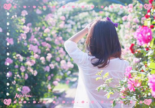 许圆月小说叫什么 慈乌守故林小说许圆月