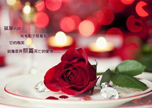沈娇娇傅西辞叫什么小说 奋斗的金丝雀：后续沈娇娇傅西辞小说