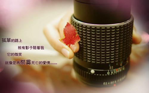 (番外)+(全文)浮灯灿烂一朝全面完结(梁明昭谢临风)小说全文免费无删减最新列表_浮灯灿烂一朝全面完结(梁明昭谢临风)全文阅读无弹窗