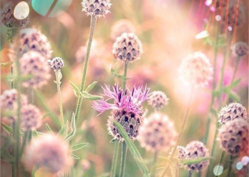 素芬李杨瑶瑶小宝小说免费阅读 我摆烂后,儿子一家悔断肠电子书