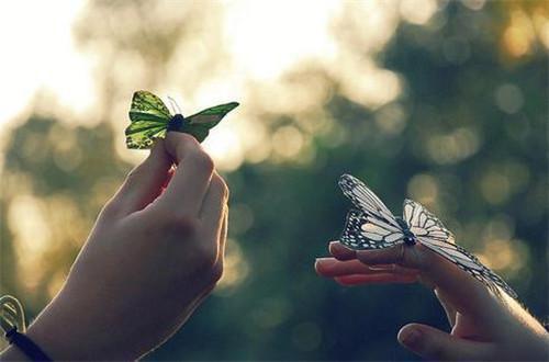 顾念顾子舟沈妍免费阅读最新章节 白月光喜欢孩子，丁克老公亲自上阵助她当妈，我杀疯了by小说家免费阅读