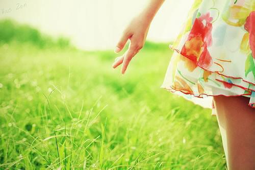 陆星野温枕萤免费阅读最新章节 芦苇深处有归舟陆星野温枕萤小说