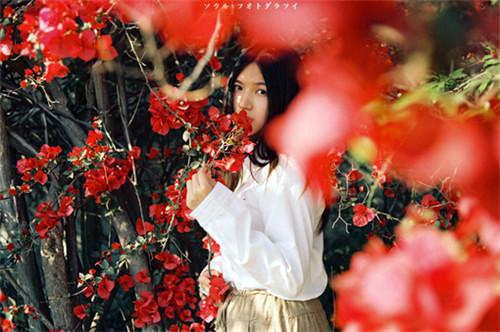 沈砚白笔趣阁 月亮落进繁星里免费阅读