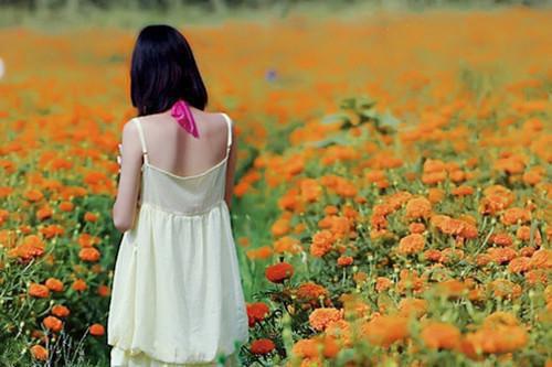 我在末世当班主任的日子老师林烨推荐完本_已完结我在末世当班主任的日子（老师林烨）