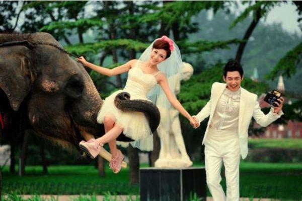 温池傅乐妤的小说叫什么 傅乐妤温池知乎小说