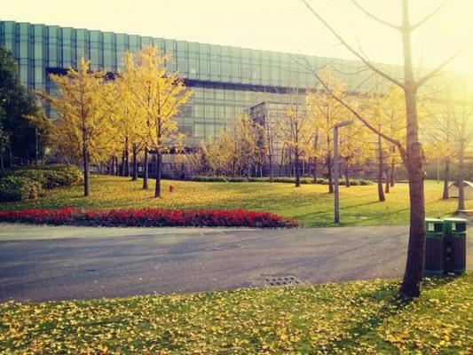 苏落蔷顾赫熹白小蝶顾清颜最新章节内容 蔷薇花落秋风止（某君）免费阅读