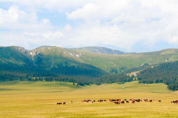 乔聆月陆肆年最新章节更新时间 恨比爱长,生无绝期by墨白