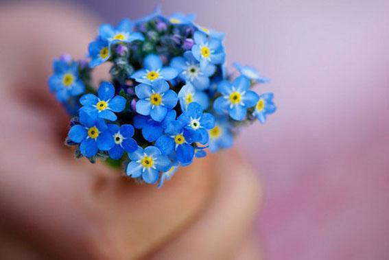 沈庭深小说免费阅读最新章节 温知夏沈庭深未删减小说