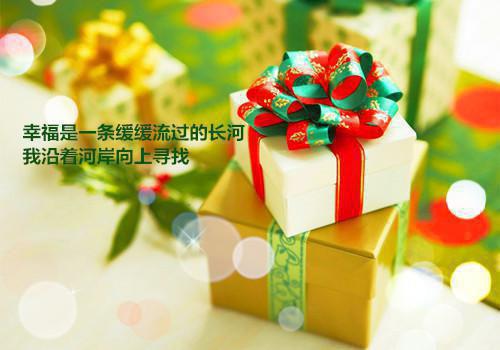 全本伤痕之下又添伤痕：+后续+结局（沈婷晚顾时夜）最新章节_全本伤痕之下又添伤痕：+后续+结局