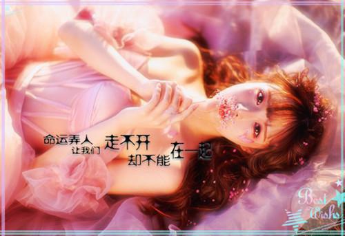 贾思念贾明珠小说结局 从雪山回来的一家人很奇怪小说正版免费阅读