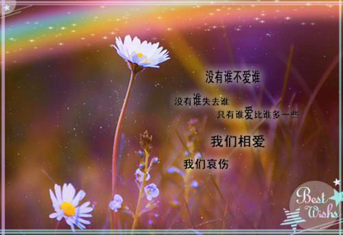 昭昭免费阅读 我妈被拐前就结婚了小说昭昭免费阅读全文