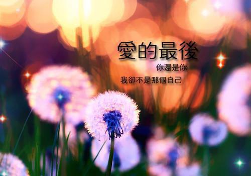 裴宴启沈言栀小说叫什么 沈言栀裴宴启免费阅读