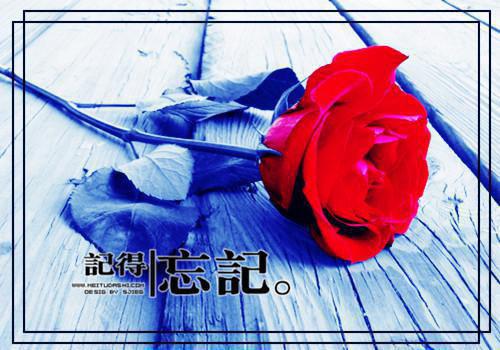 苏泽苏瑶苏建国刘桂芳免费阅读最新章节结局 给爸妈买楼王后,我杀疯了全文阅读