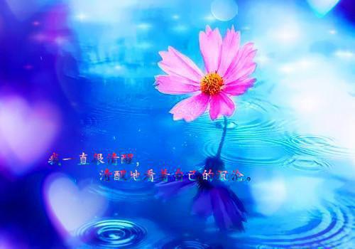 伤痕之下再添伤痕：结局+番外（沈婷晚顾时夜）最新章节列表_伤痕之下再添伤痕：结局+番外全文阅读