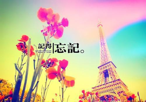 太子妃春桃秦王妃叫什么小说 轻纱牢笼小说太子妃春桃秦王妃免费阅读全文