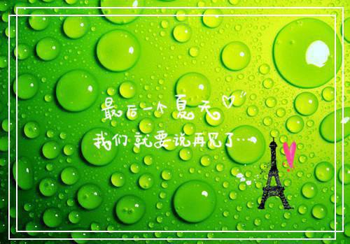 陆璟晨林梦涵沈之白最新章节更新时间 中秋节当天，妻子让我全家买下巨款月饼全文最新更新内容