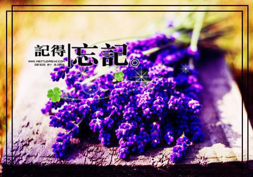 崔瑶光崔子翁小说 大小姐重生后，败家子孙连夜改邪归正小说全文免费