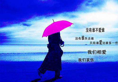 宋时笙霍承瑞最新章节更新状态 山茶花落情亦散电子书