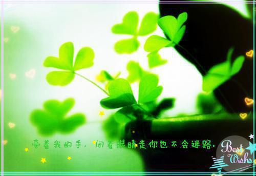 我死后,前夫对我进行记忆审判宝藏文最新章节列表_我死后,前夫对我进行记忆审判宝藏文全文免费阅读(顾晚陆霆深顾思思)