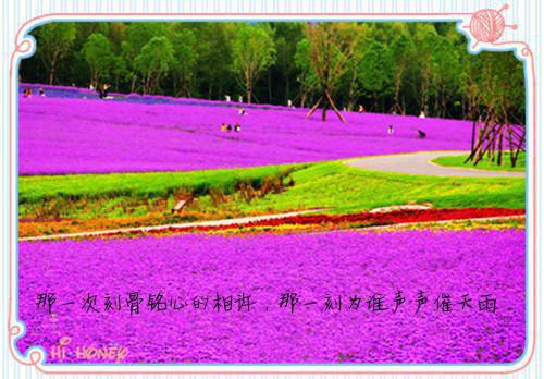 将军夫人和离后，成了摄政王的心尖宠（苏云卿萧北铮）最新推荐_最新推荐将军夫人和离后，成了摄政王的心尖宠（苏云卿萧北铮）