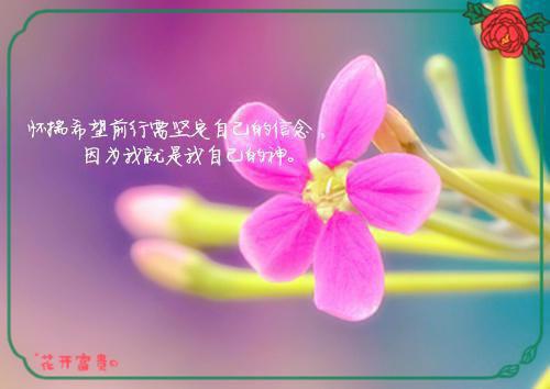 谷洛妍谢徊璟谷婕的最新章节更新时间 恰似繁星映晚空谷洛妍谢徊璟谷婕全文