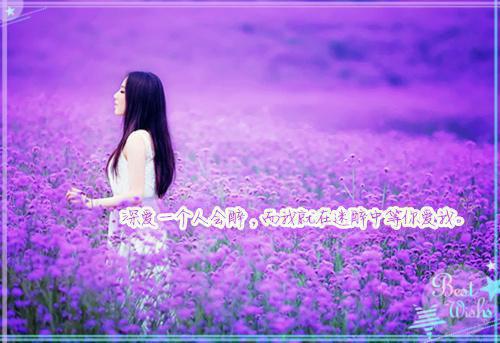 沈今白陆言沈明顾白薇沈清荷的最新章节小说 我跟兄弟被杀后脱离世界回家,亲人们却疯了笔趣阁