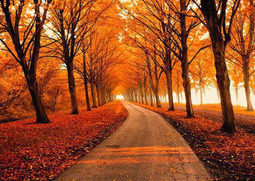 闻姑娘裴渡小说免费阅读 闻雪意裴渡by匿名