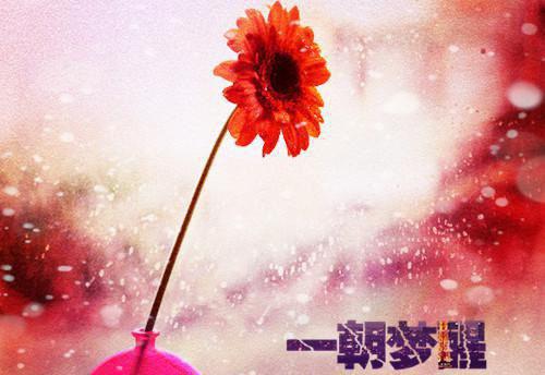 洛幽幽免费阅读最新章节结局 二版《被无情道首席拒绝后我飞升了》洛幽幽 谢无妄小说免费阅读全文最新章节