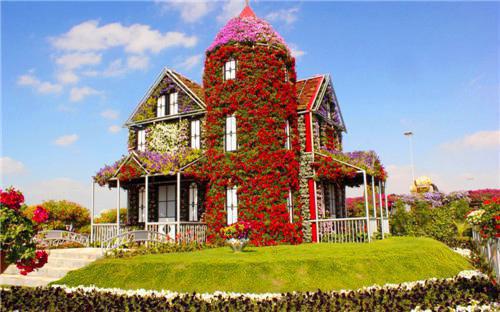 直播见鬼后，全球要我记忆备份雾山林深见鹿推荐完本_已完结直播见鬼后，全球要我记忆备份（雾山林深见鹿）