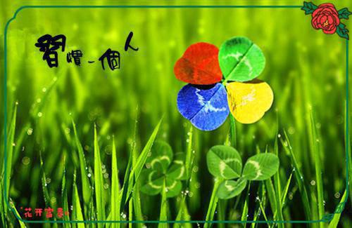 谷洛妍谢徊璟谷婕小说在线阅读 恰似繁星映晚空小说全文免费