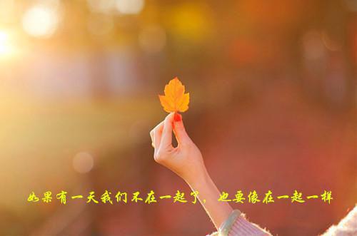 谢庭远秦昭雪最新章节列表 情意终成恨免费阅读全文