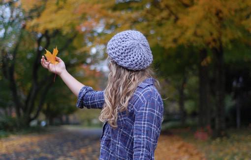顾念昭月陆泽的最新章节更新时间 妈妈把我锁进烤箱三天三夜后，她悔疯了免费阅读小说