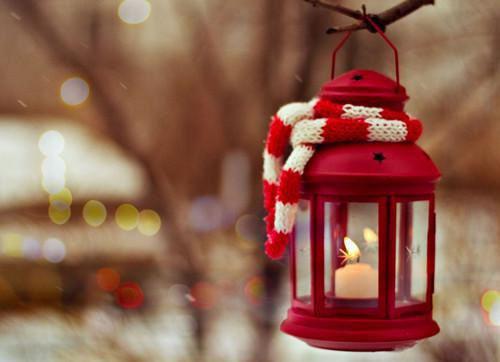 林远李强王芳小说免费阅读最新章节 举报我赚取黑心钱后她悔疯了免费阅读小说