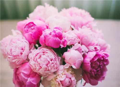 昭昭小说免费阅读最新章节 我会弄脏妈妈的裙子小说全文阅读