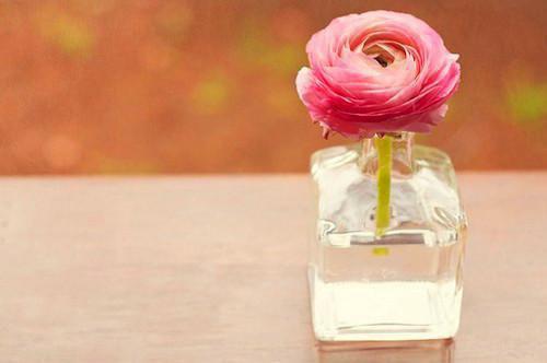 重生后，让害我孩子的恶婆婆血债血偿（林晚周浩王桂芬）已完结 重生后，让害我孩子的恶婆婆血债血偿小说在线阅读